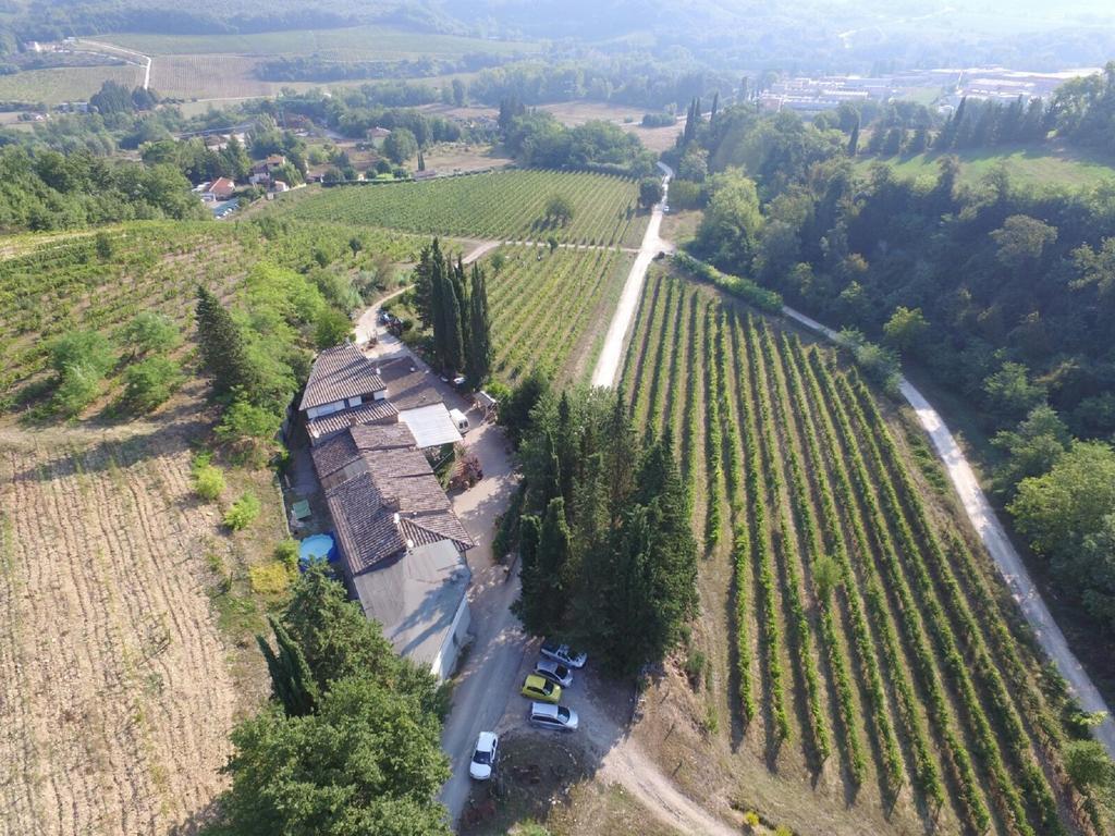 Agriturismo Lucciano ซานกัสชาโน อิน วัลดีเปซา ภายนอก รูปภาพ