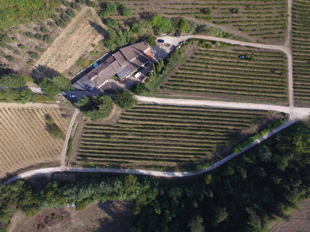 Agriturismo Lucciano ซานกัสชาโน อิน วัลดีเปซา ภายนอก รูปภาพ