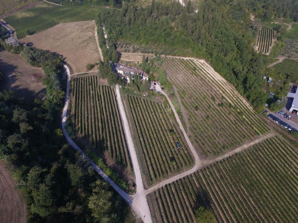 Agriturismo Lucciano ซานกัสชาโน อิน วัลดีเปซา ภายนอก รูปภาพ